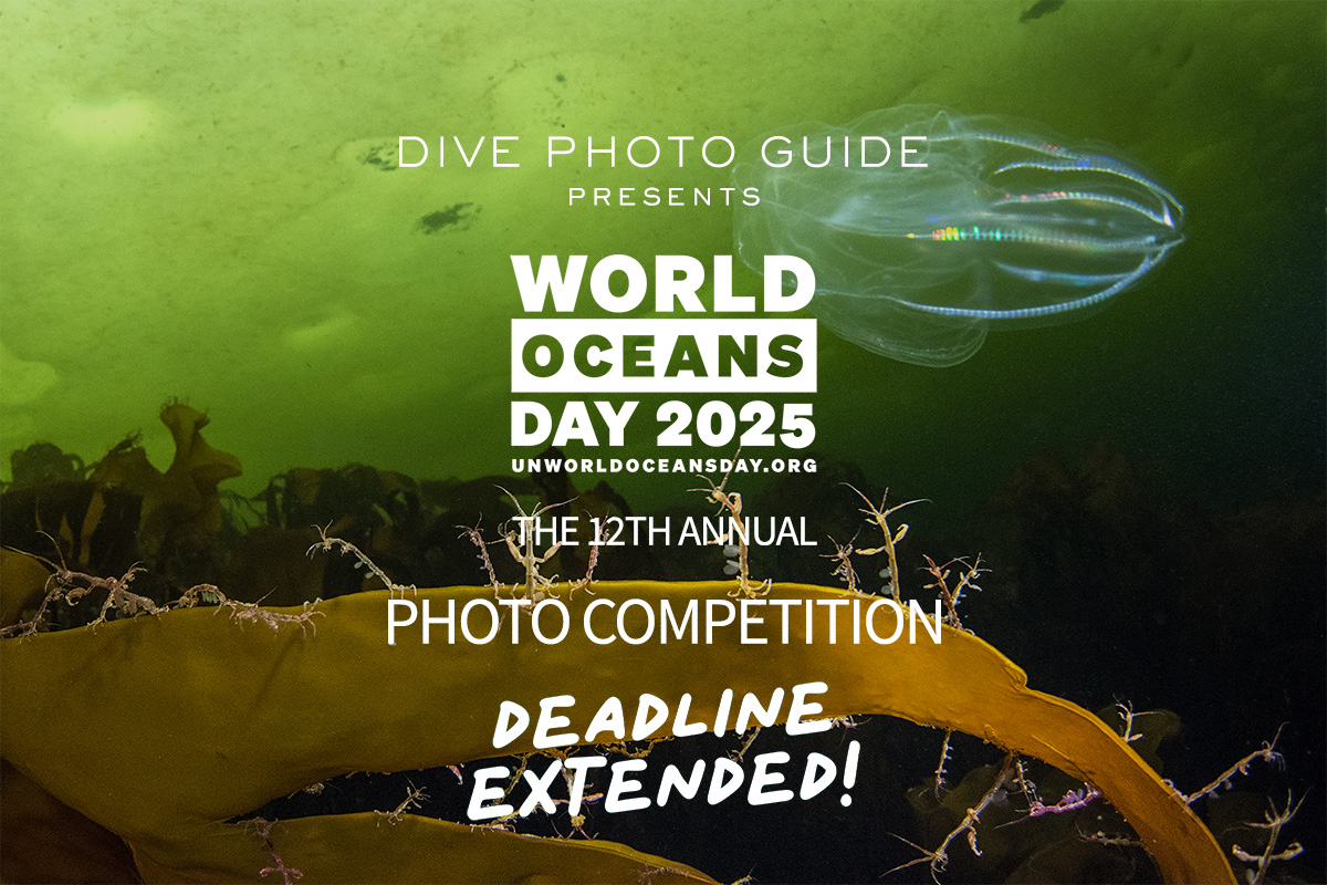 UN World Oceans Day 2025 Competition: Deadline Extension!