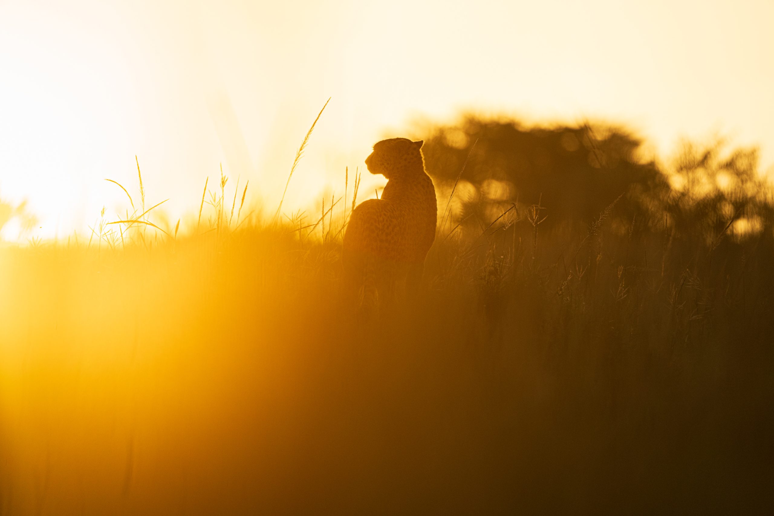 Mwangaza: Light!