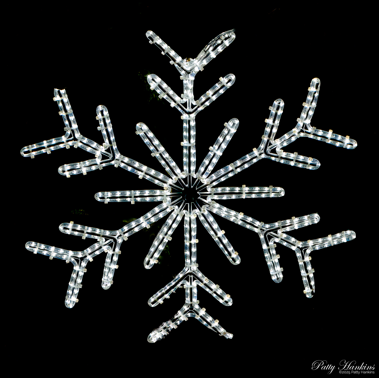 Christmas at Longwood Gardens 2024