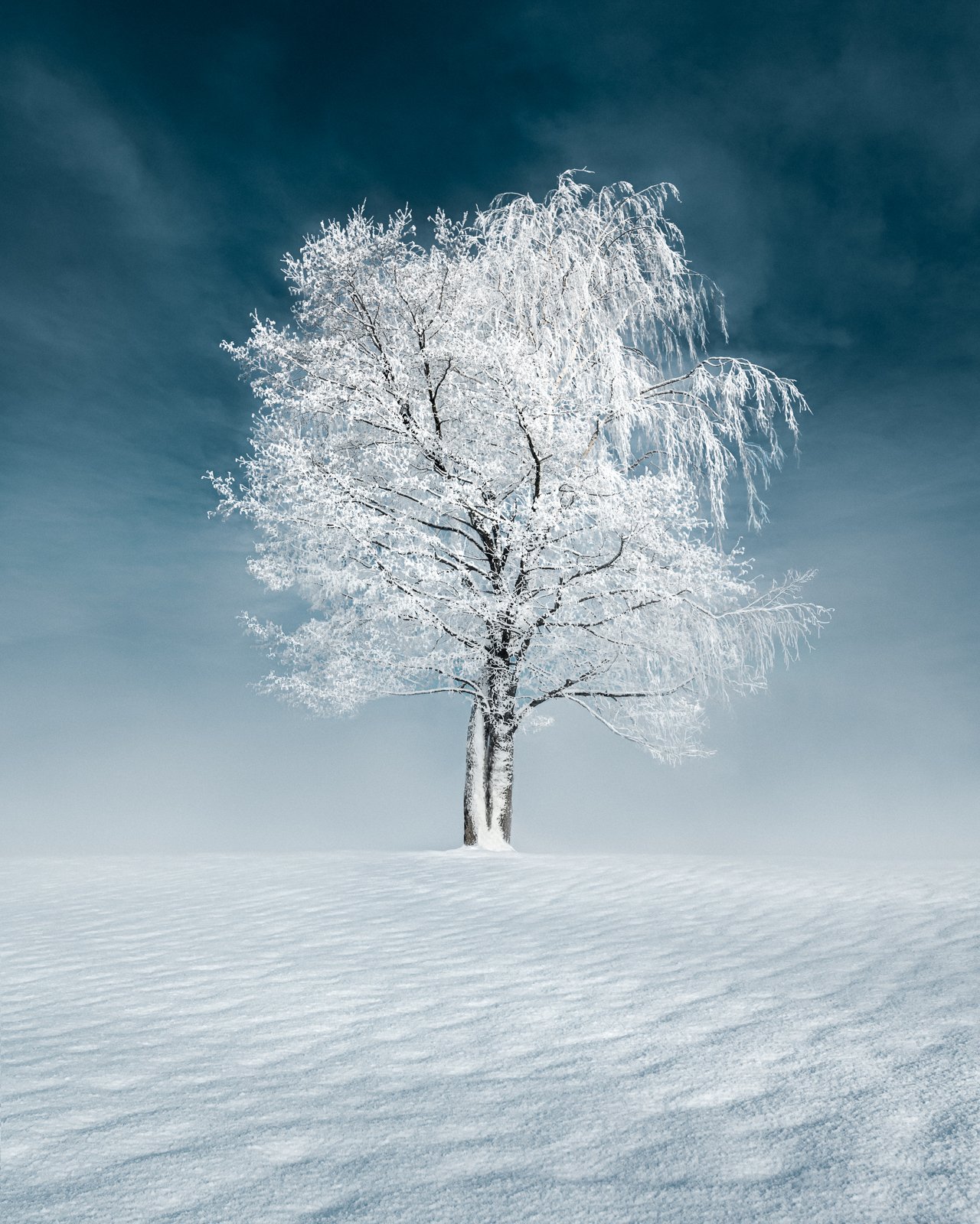 Behind The Scenes: Wonder — Mikko Lagerstedt