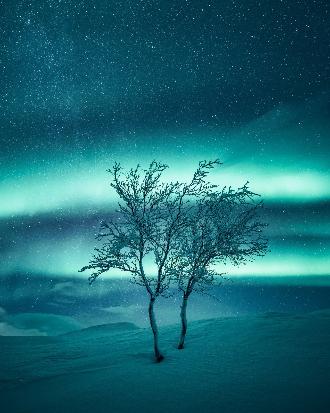Unlock Your Photography Potential — Mikko Lagerstedt