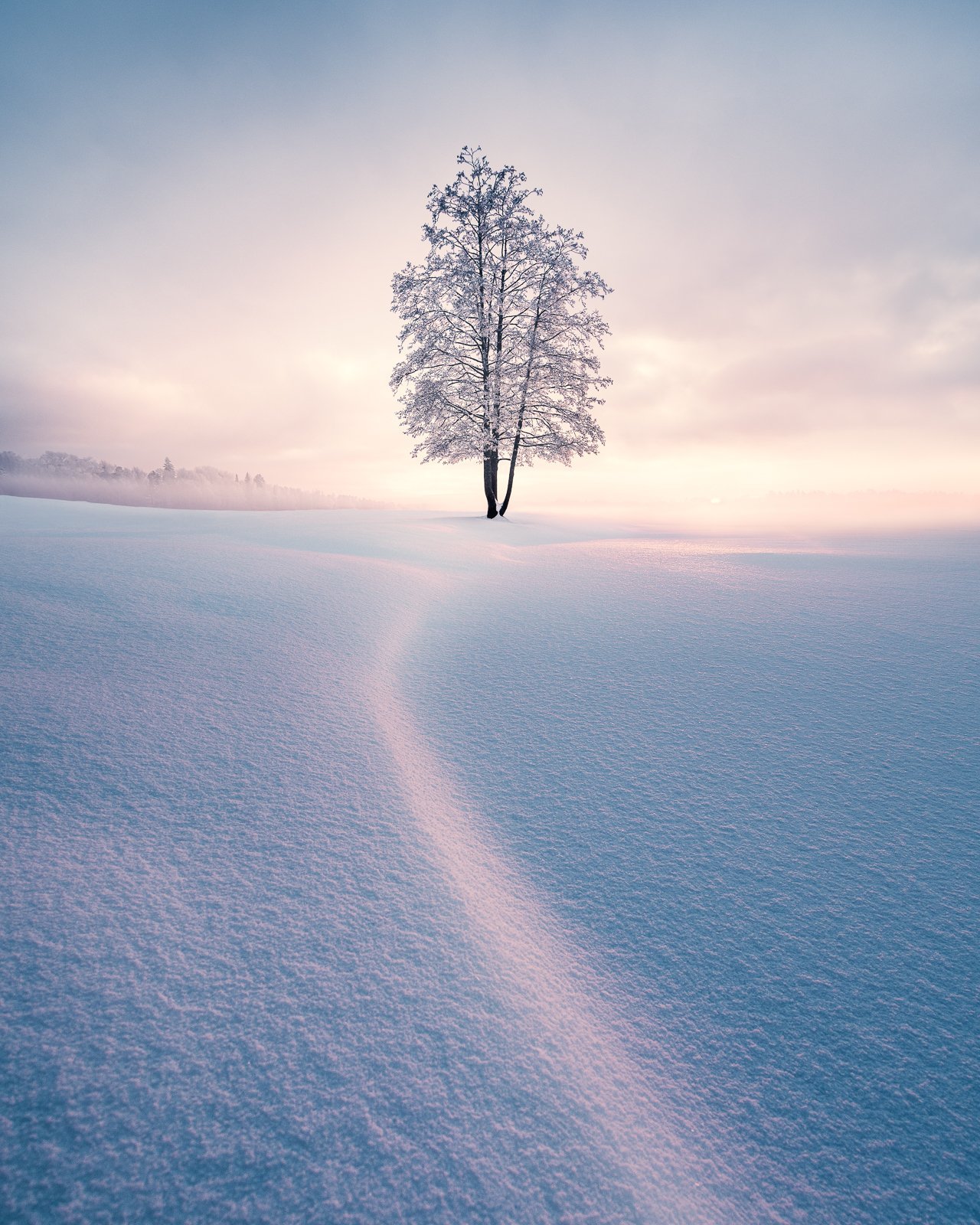 The Art Of Capturing Winter Fog Photography — Mikko Lagerstedt