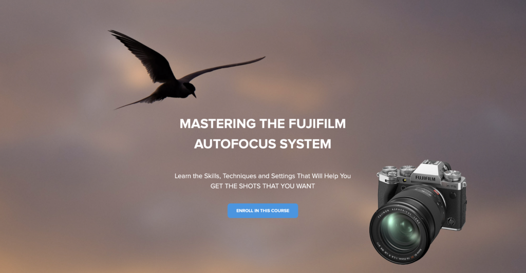 New Online Course – Mastering the FUJIFILM Autofocus System