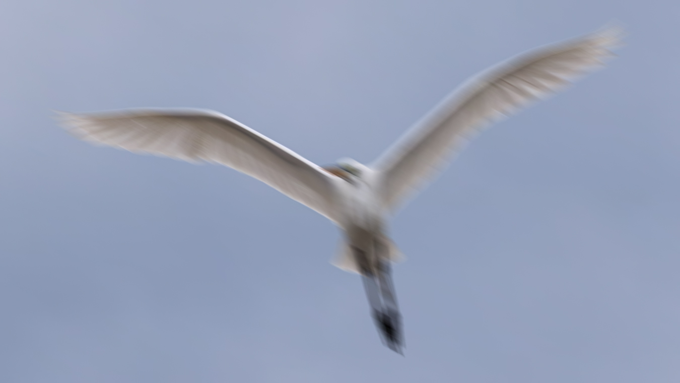 Tired of missing focus? Try these 6 simple steps.