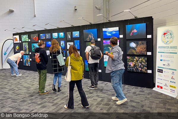 Go Diving Show ANZ Tickets Now Available with Early Bird Special