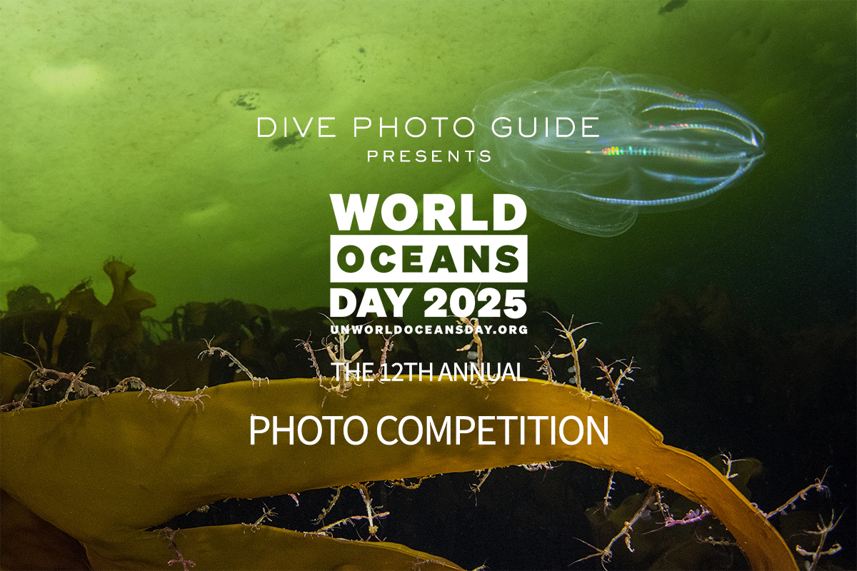 12th Annual Photo Competition for UN World Oceans Day