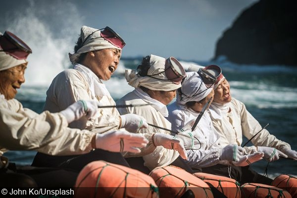 Scientists Find New Evidence That South Korea’s Female Freedivers Evolved for a Life Underwater