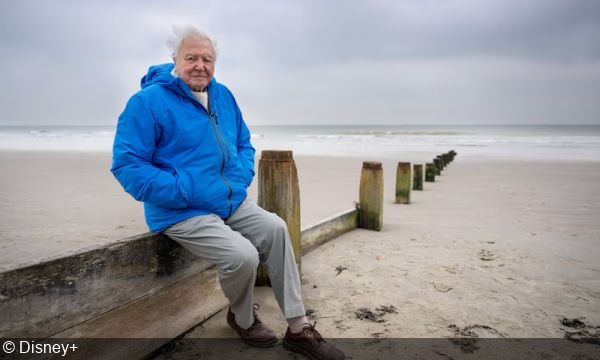 David Attenborough Turns 99 and He Wants You to Fight for It