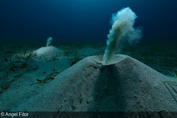 Environmental Photography Award 2025 Winners Announced