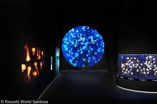 New Singapore Oceanarium on Sentosa Opens in July