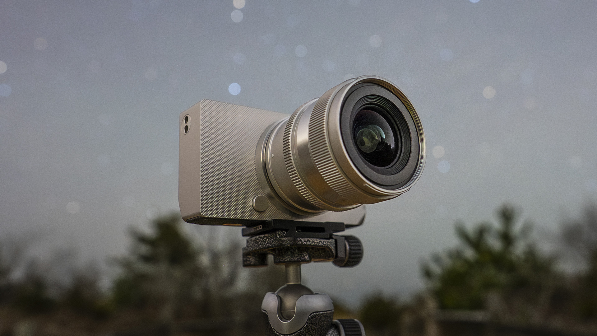 Capturing the Stars and Everything Below with the Sigma BF Camera