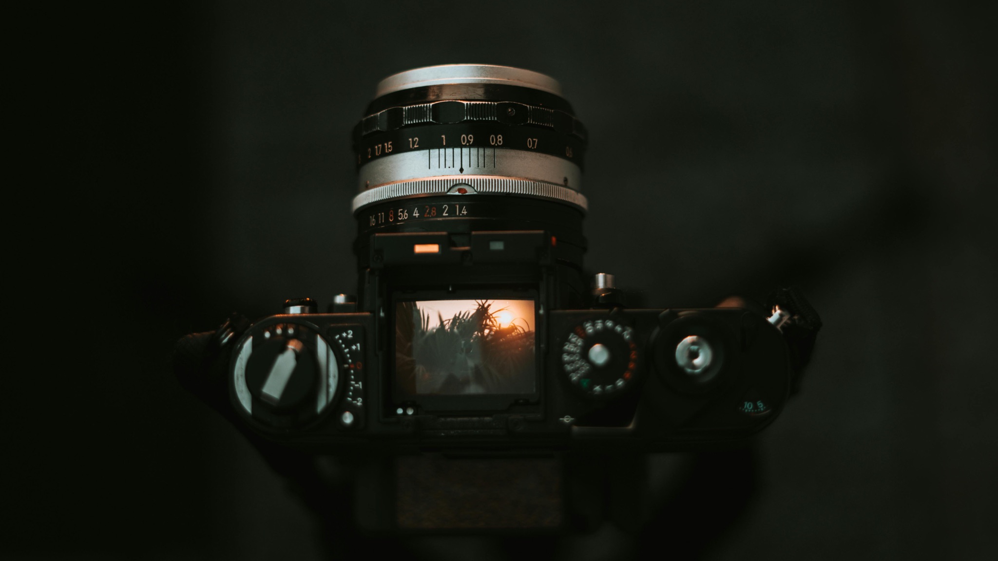 An Absolute Beginner’s Guide To Film Photography