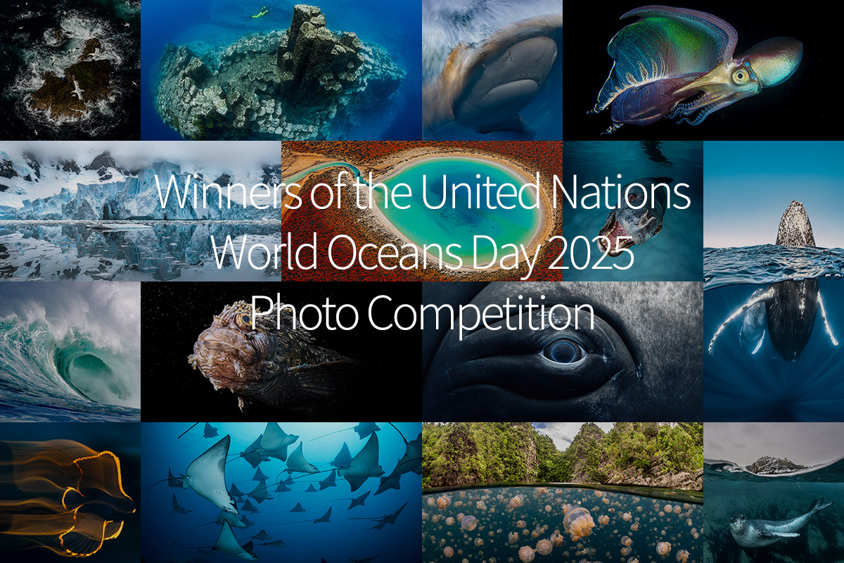 Announcing the Winners of the 12th United Nations World Oceans Day Photo Contest