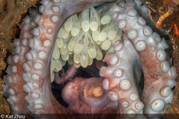 BigPicture Photography Competition 2025 Winners Revealed