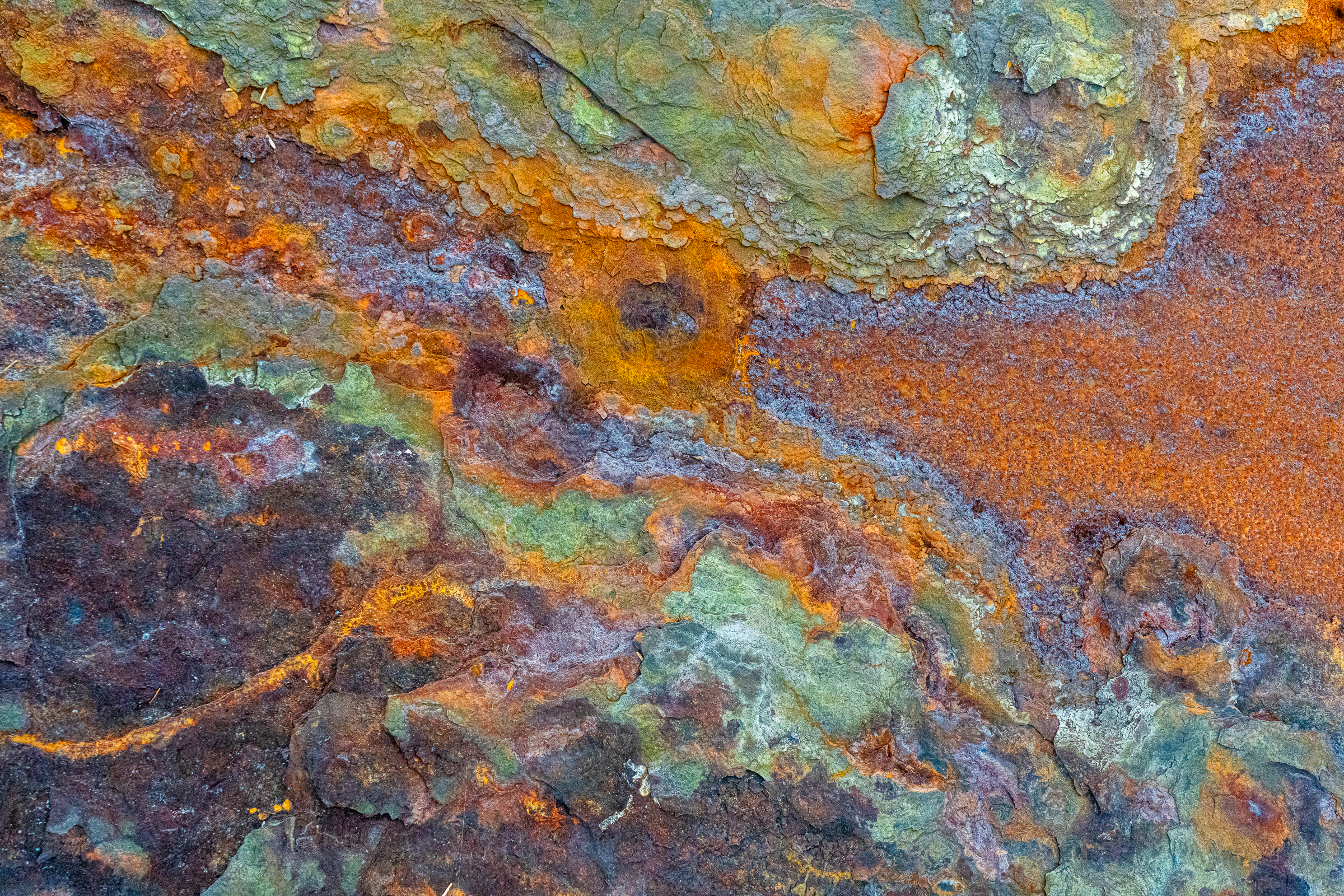 The Evolving Photographer