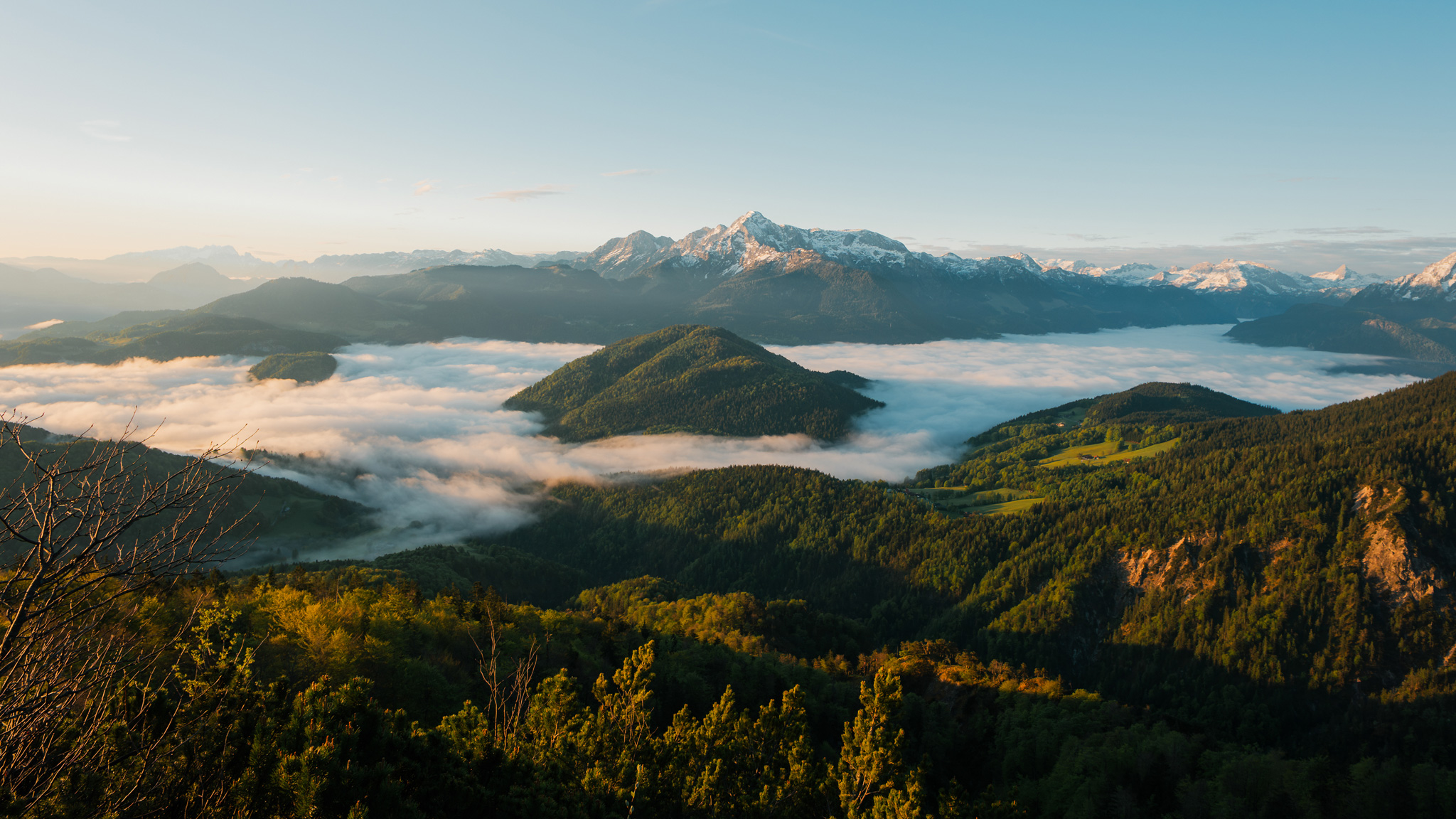 Trail Running Shoot: The Beauty of a Wide Aperture