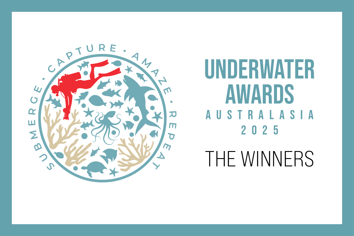 Winners of the Underwater Awards Australasia 2025