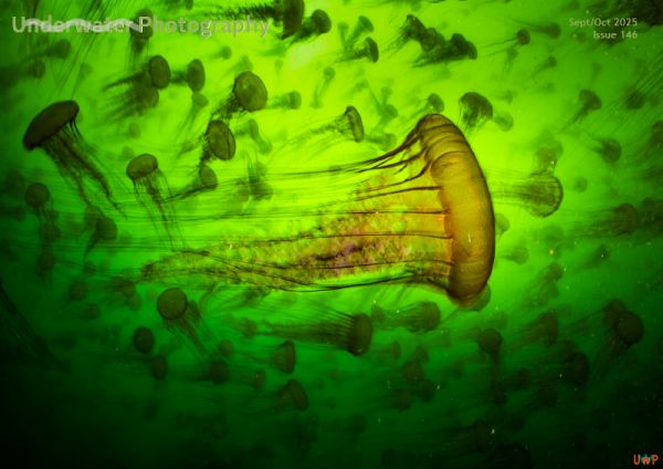 Issue 146 of Underwater Photography Magazine Available
