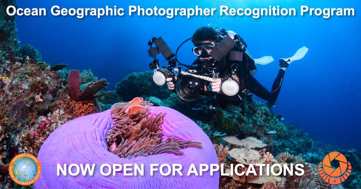 Ocean Geographic and The Underwater Club Announce Underwater Photographer Recognition Program