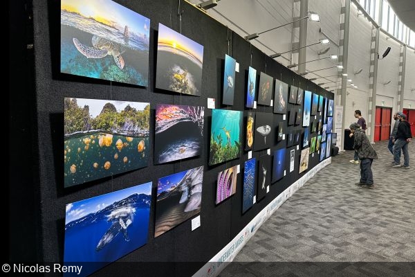 Go Diving Show ANZ 2025 Report