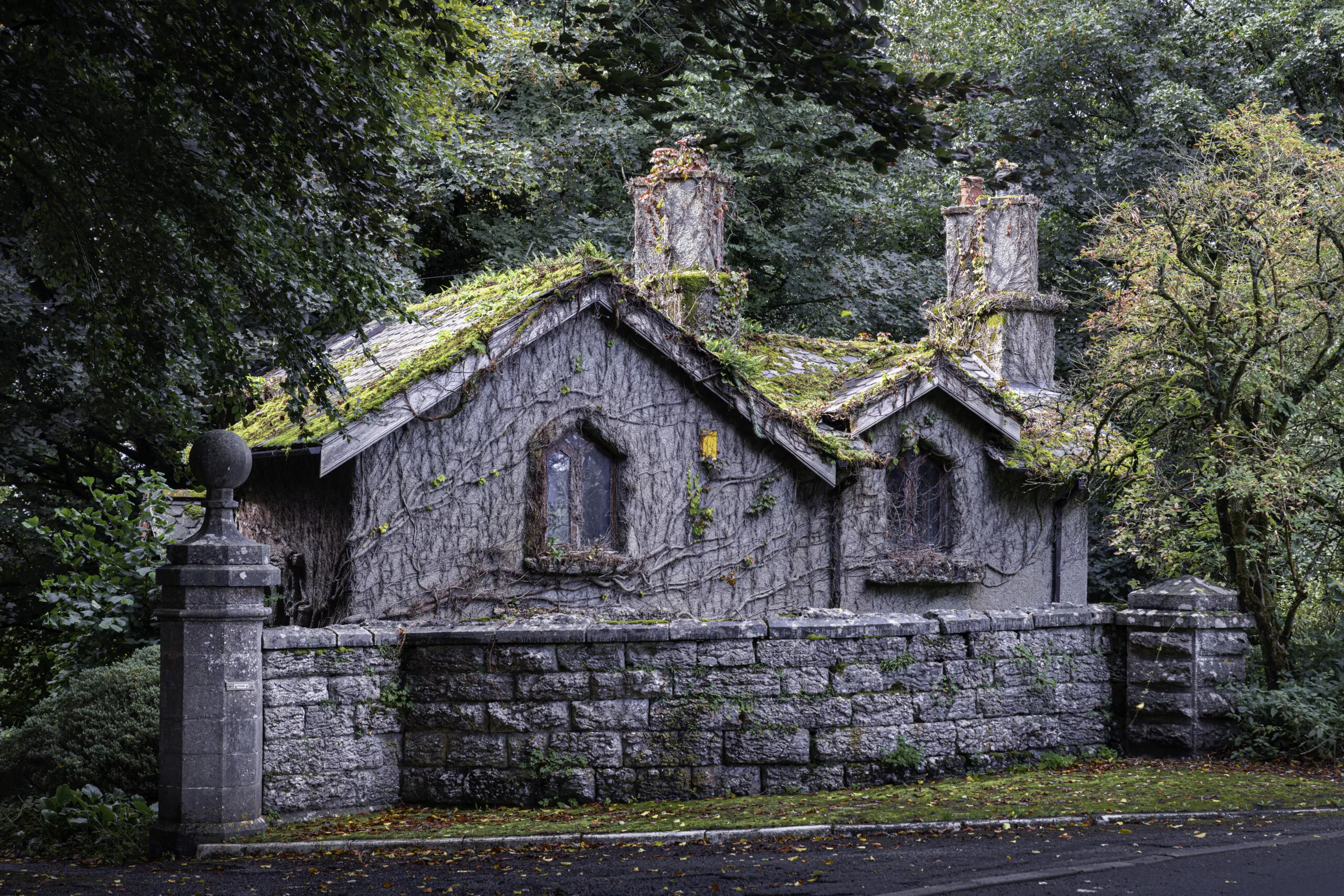 Perspectives Redefined, Reflections, Sports, Nature – The Weekly Light Stalking Community Roundup