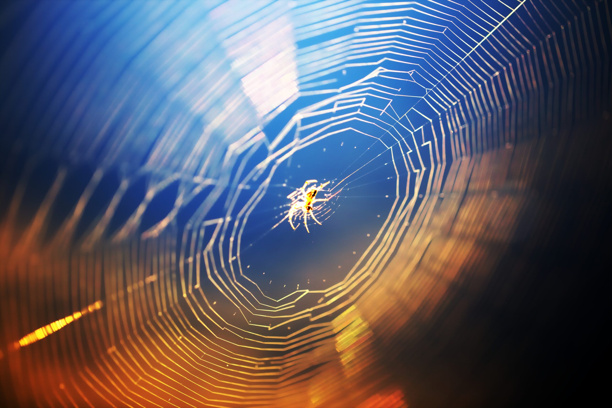 Light Of The Ordinary, Macros And Photography Discussions – The Weekly Light Stalking Community Roundup