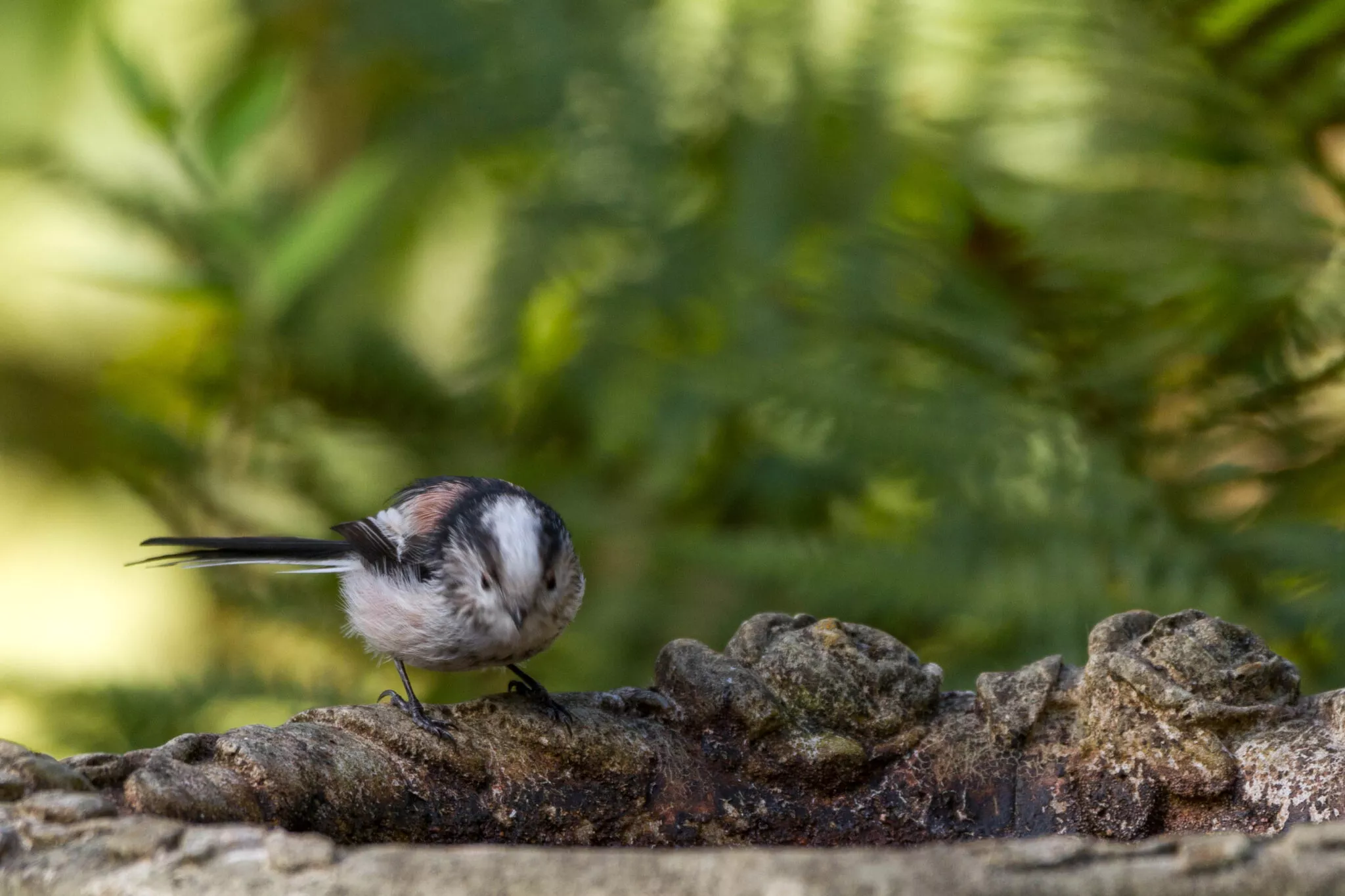 September 2025 Photo Contest Winners: The Beauty of Everyday Life