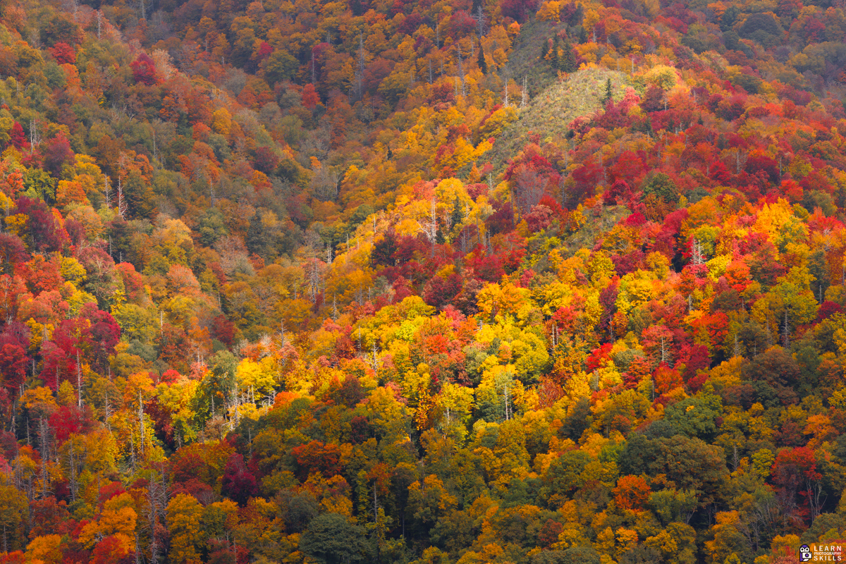 Fall Photography for Lazy Bums