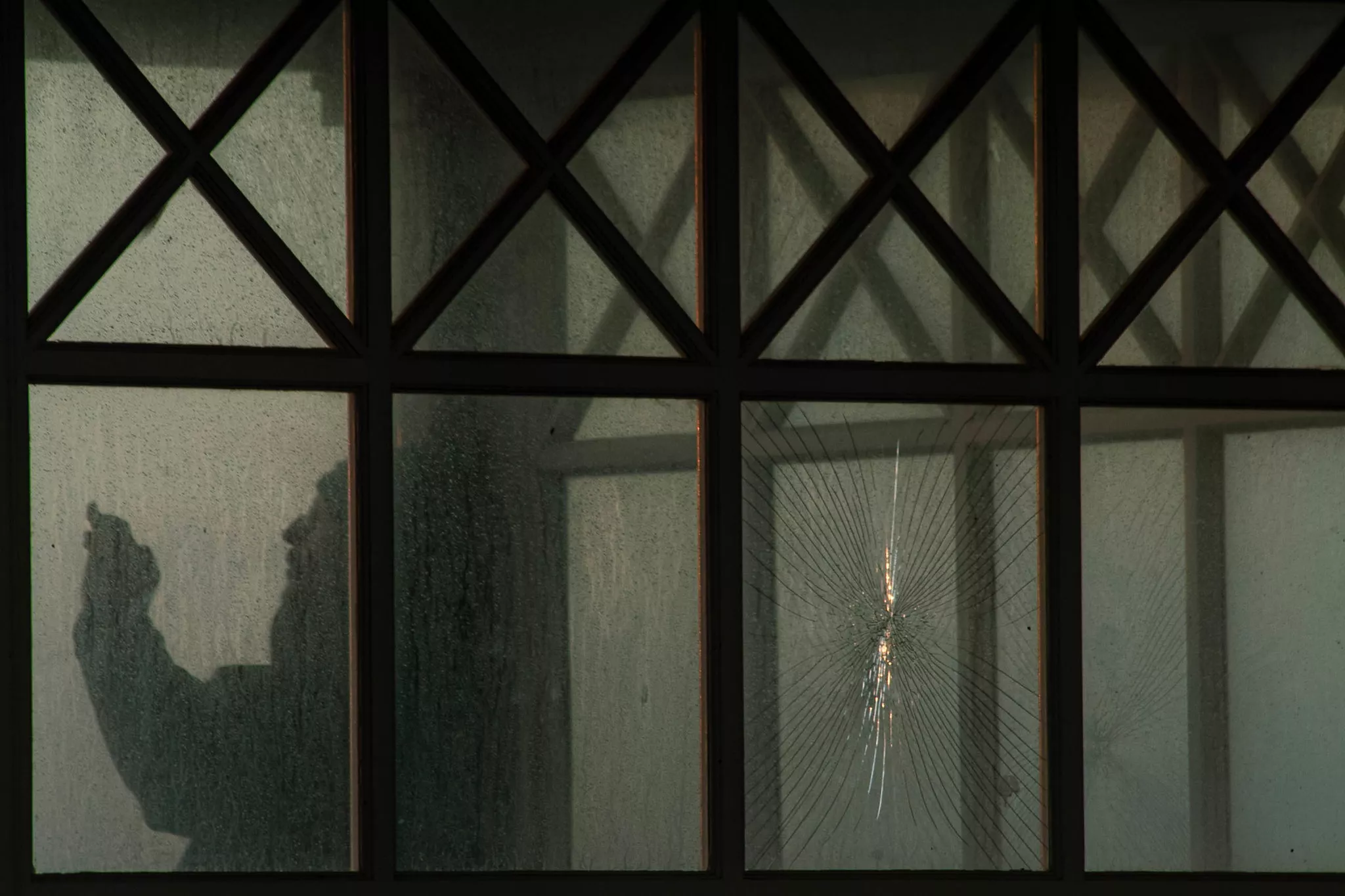 Everyday Stories, Abstract Flowers – The Weekly Light Stalking Community Roundup